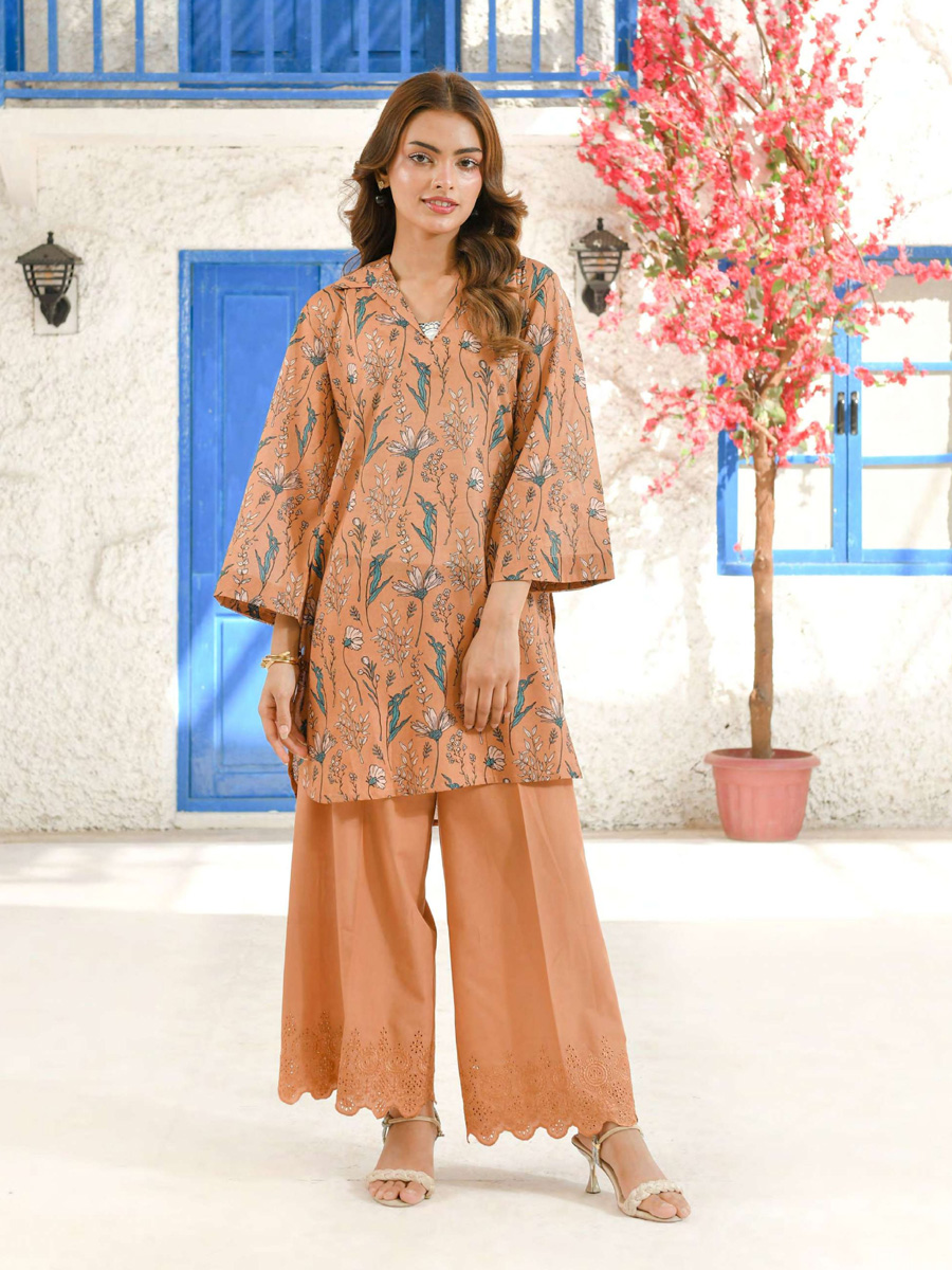 Inaya Ali Premium Quality ChikenKari 2 Piece